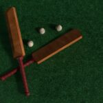 Make Cricket Fandom Unique